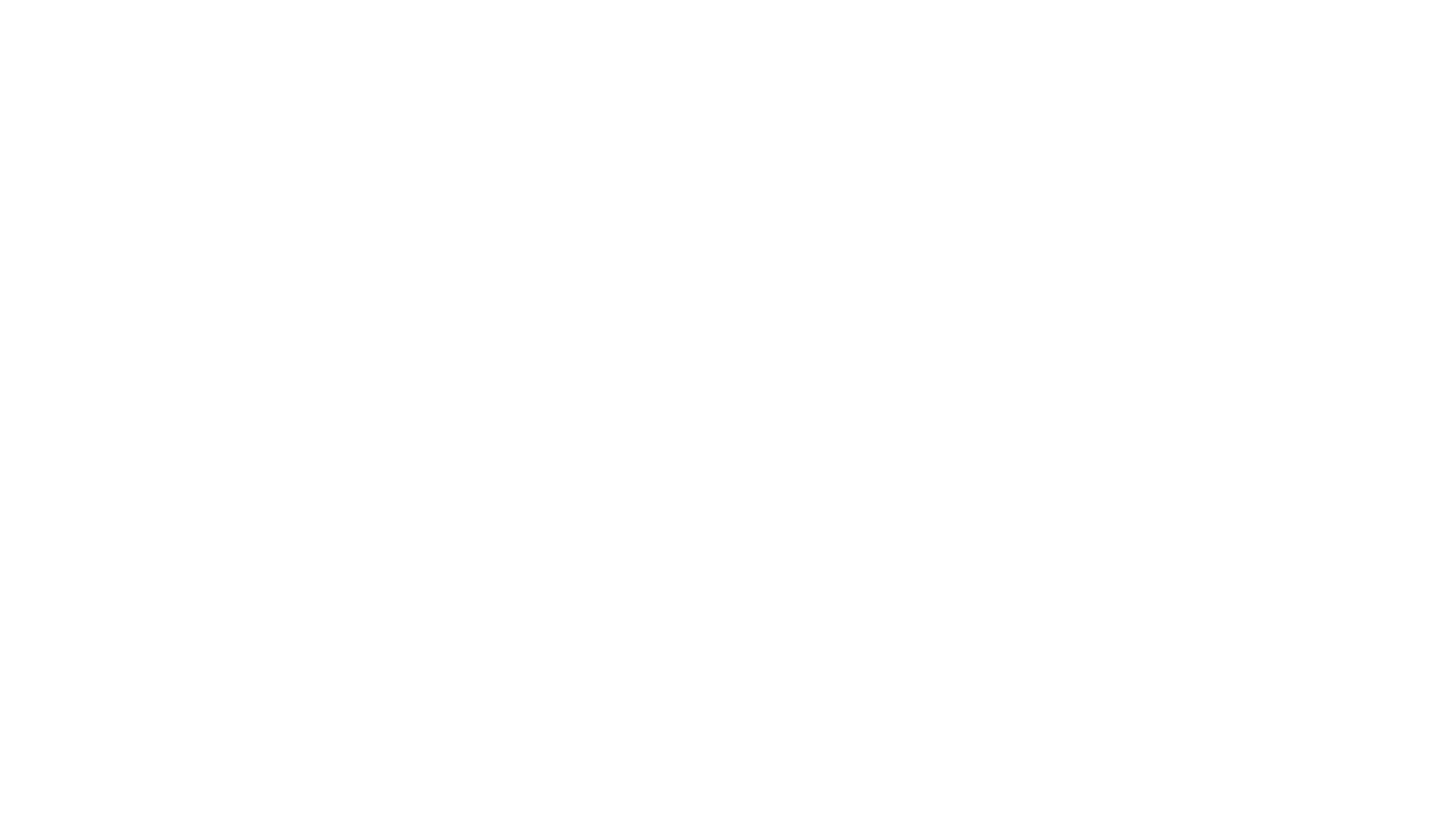 BAWAG Logo